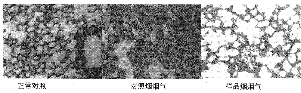 Harm reducing natural plant additive for cigarettes, and preparation method and application thereof