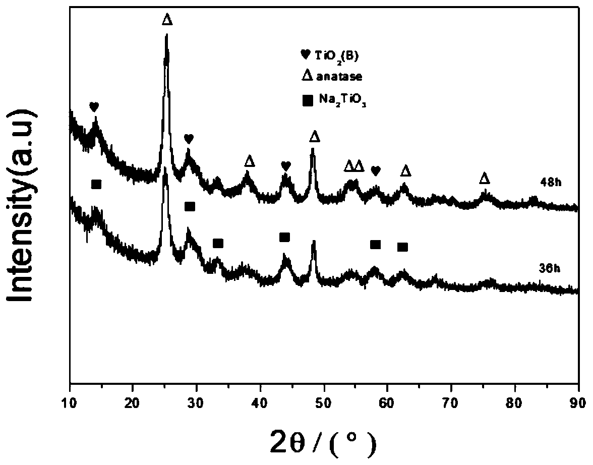 Preparation method of platinum modified titanium dioxide nanowire filter membrane