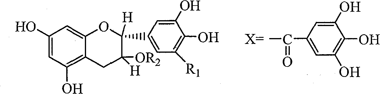 Method for extracting tea-polyphenol and separating monomer EGCG from tea