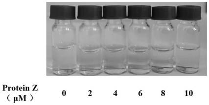 Method for improving water solubility and small intestine digestion stability of curcumin