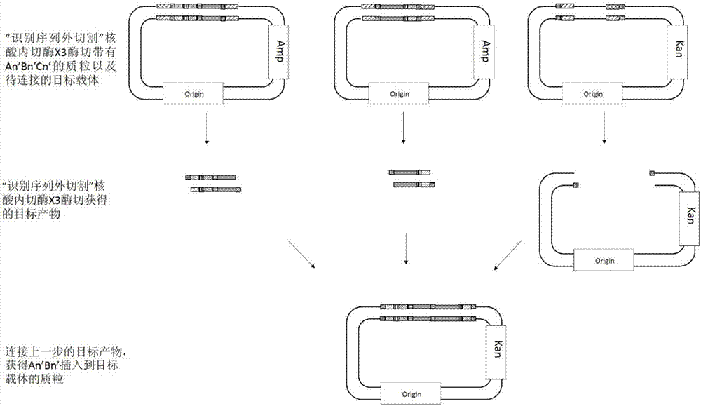 Method for synthesizing gene with complex sequence