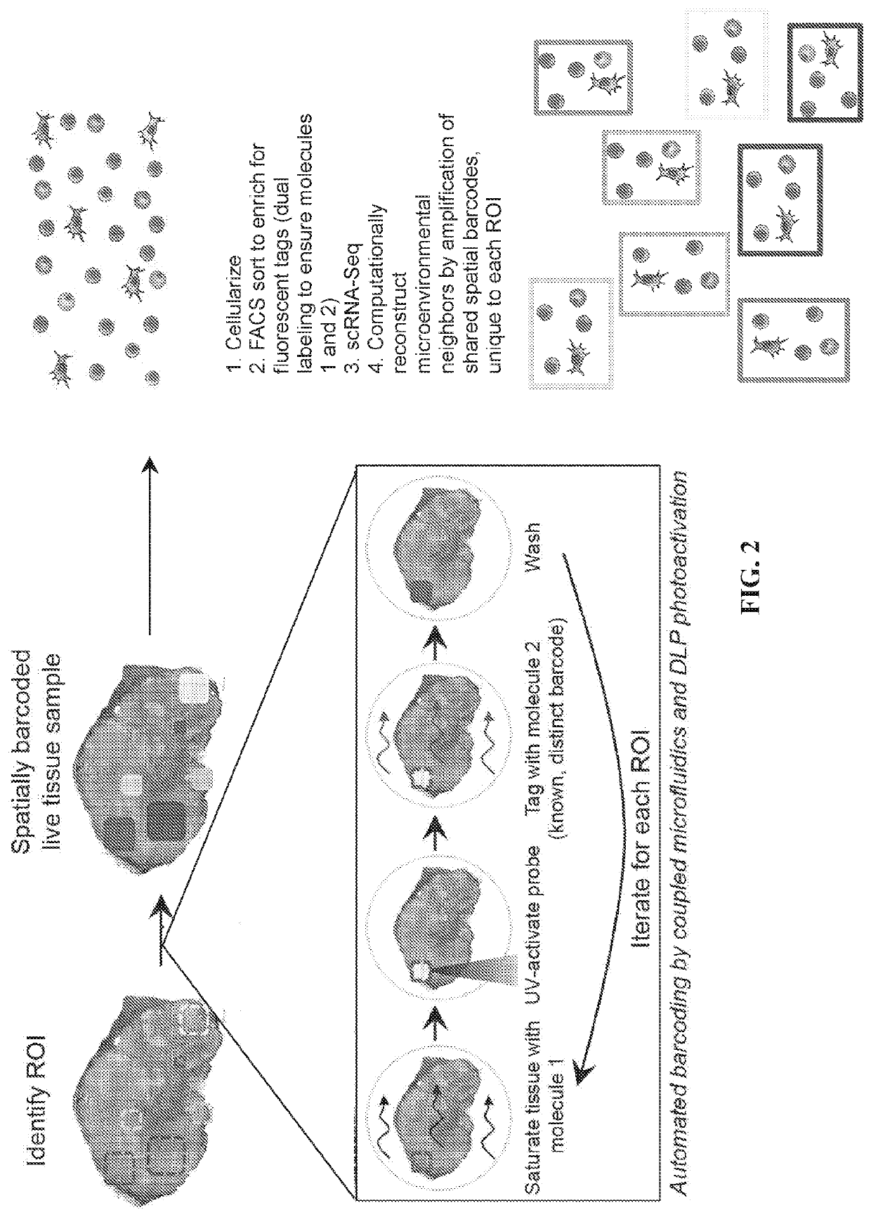 Methods for identifying and modulating co-occurant cellular phenotypes
