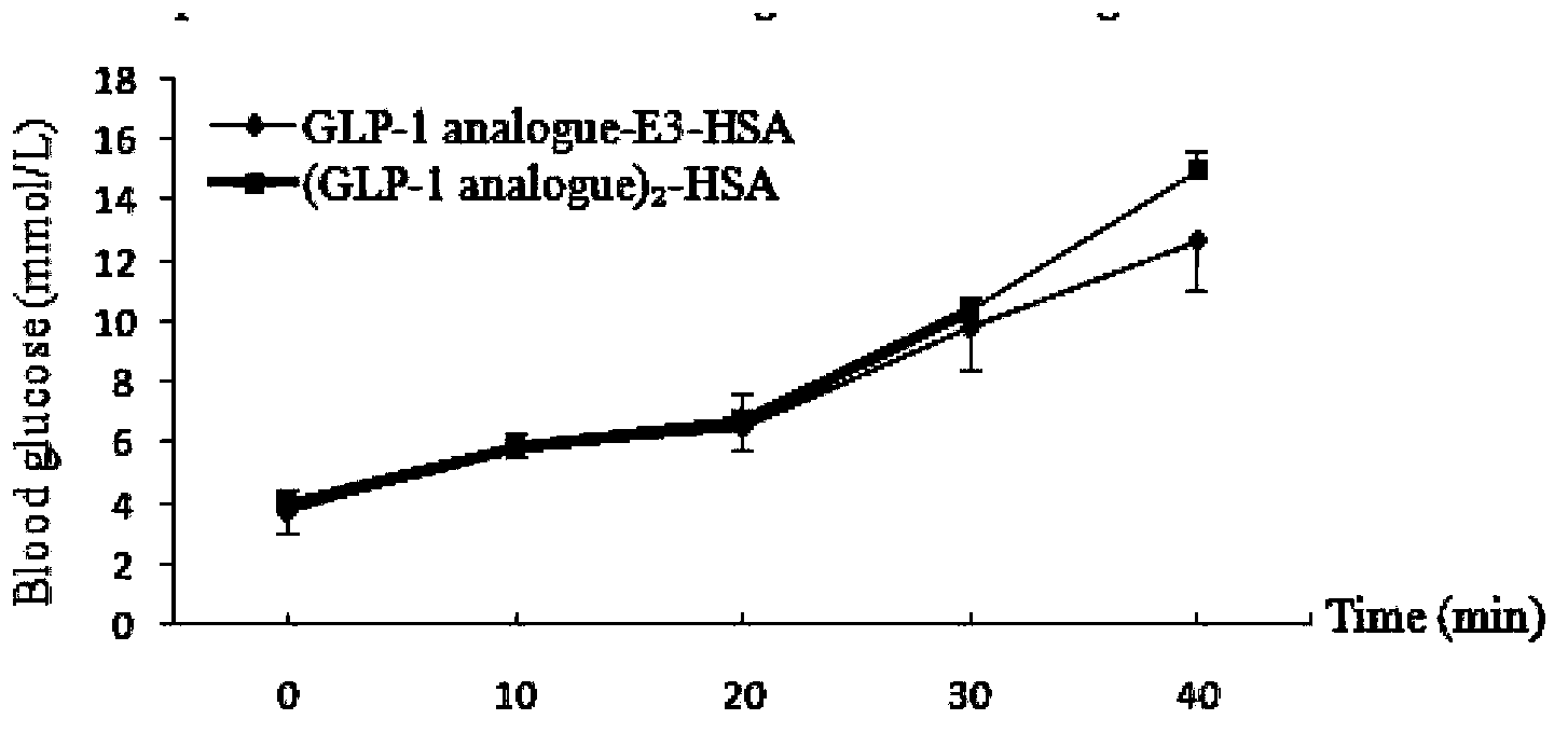 Fusion protein of GLP-1 analogue and preparation method and application thereof