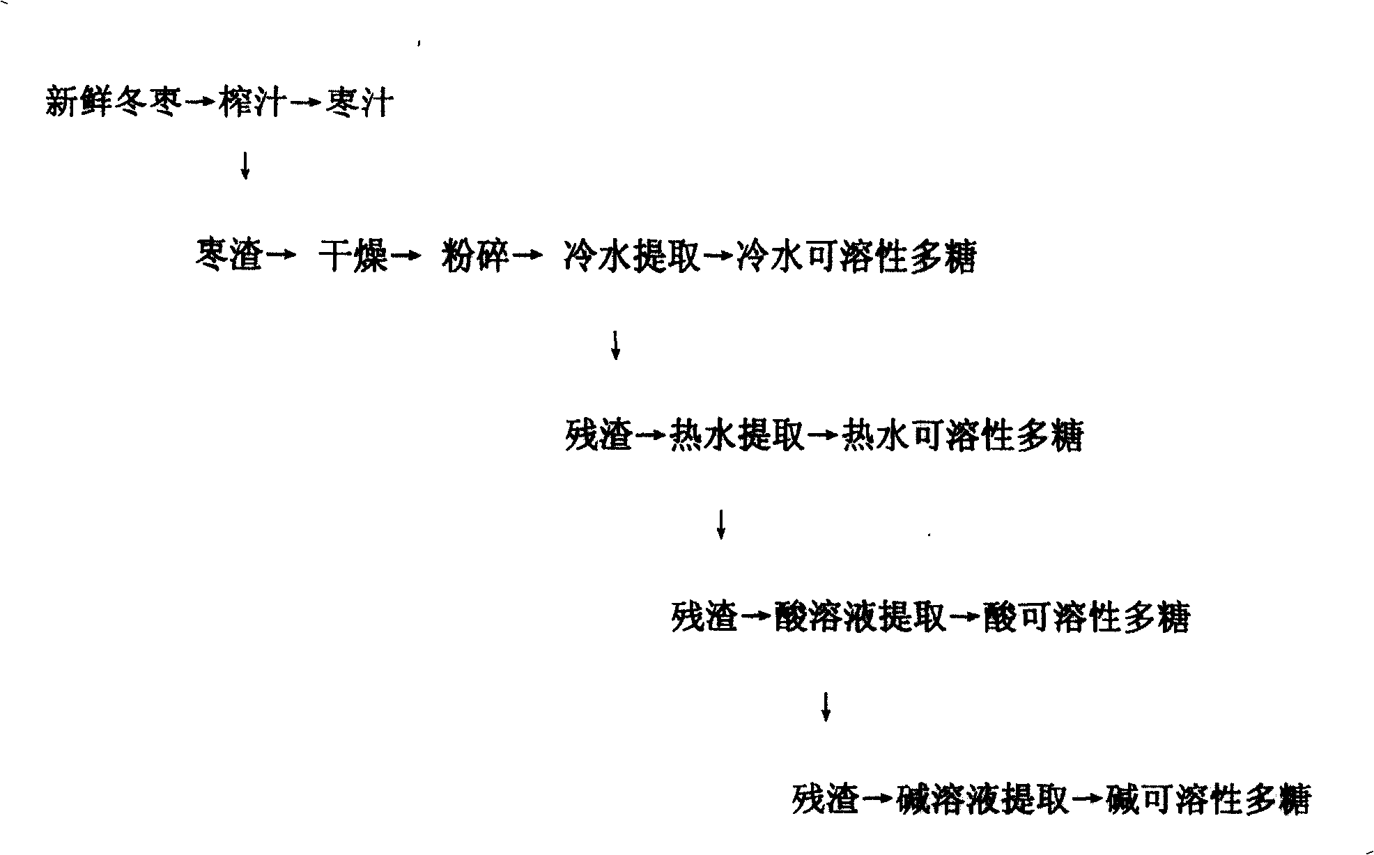 Extraction method of polysaccharide from winter jujub