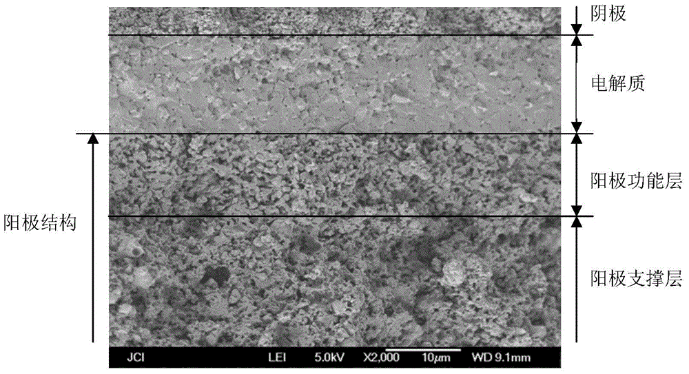 A kind of middle temperature SOFC plate anode support type single cell anode structure and preparation method thereof