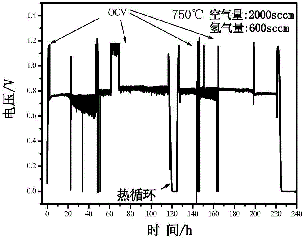 A kind of middle temperature SOFC plate anode support type single cell anode structure and preparation method thereof