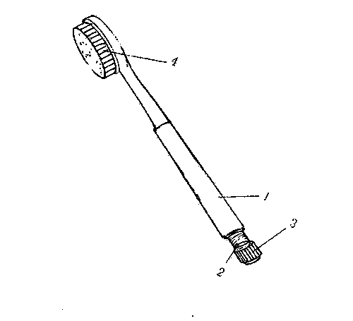 Toothbrush capable of carrying tooth medicine powder