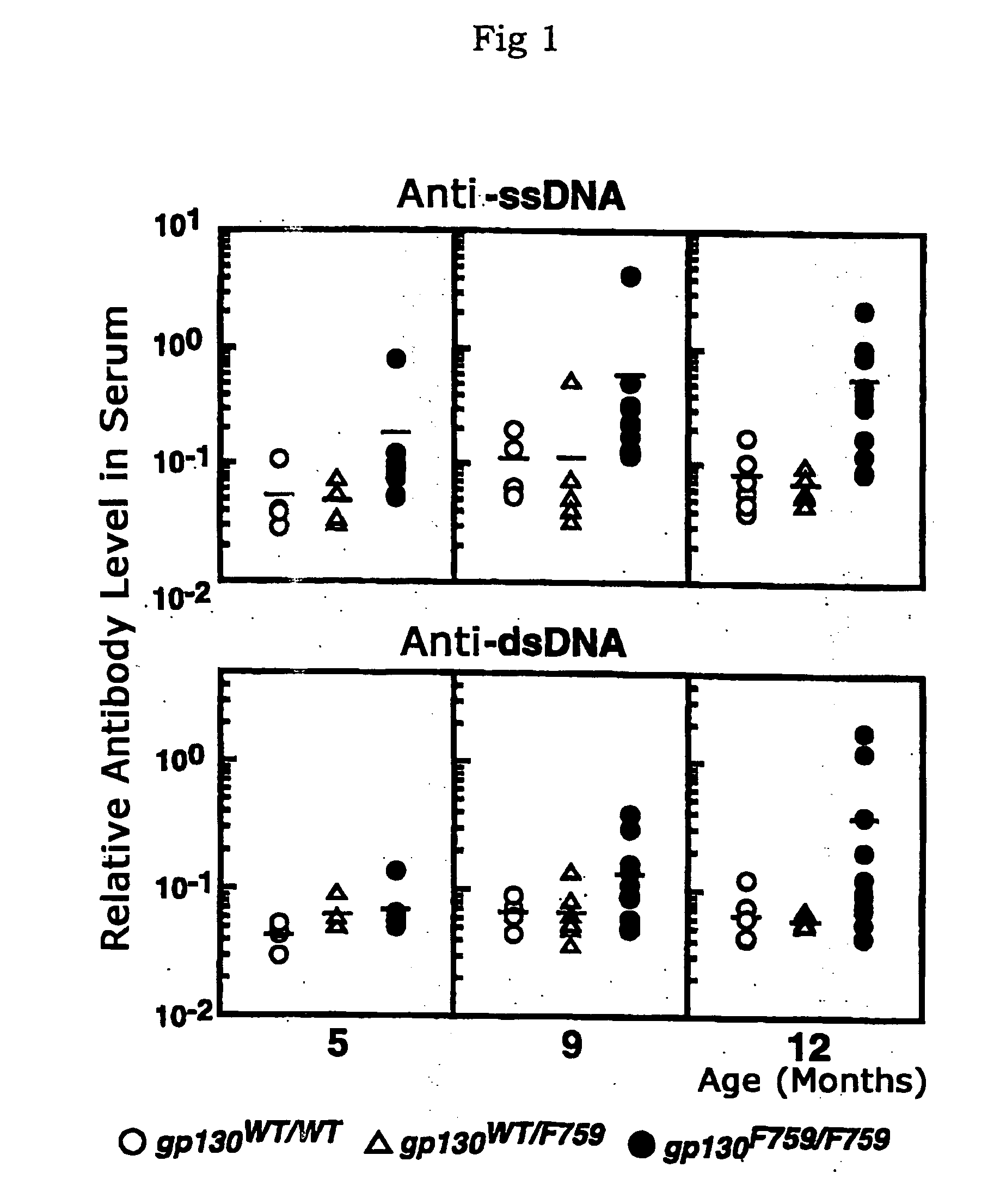 Method of screening for substance preventing or treating diseases in association with malfunction of il-6 family cytokine receptor malfunction