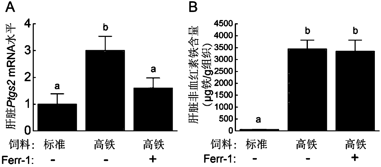 Application of ferroptosis inhibitor in preparation of medicine for treating iron overload disease