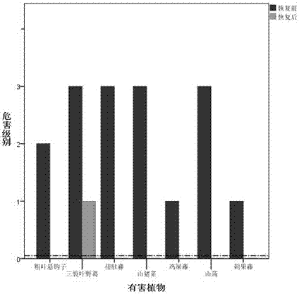 Ecological Control Methods of Forest Harmful Plants in South China
