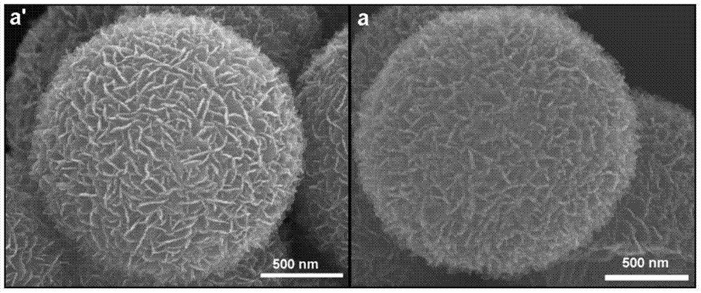 Nitrogen-doped anatase TiO2 nano-sheet multilevel ball and preparation method thereof