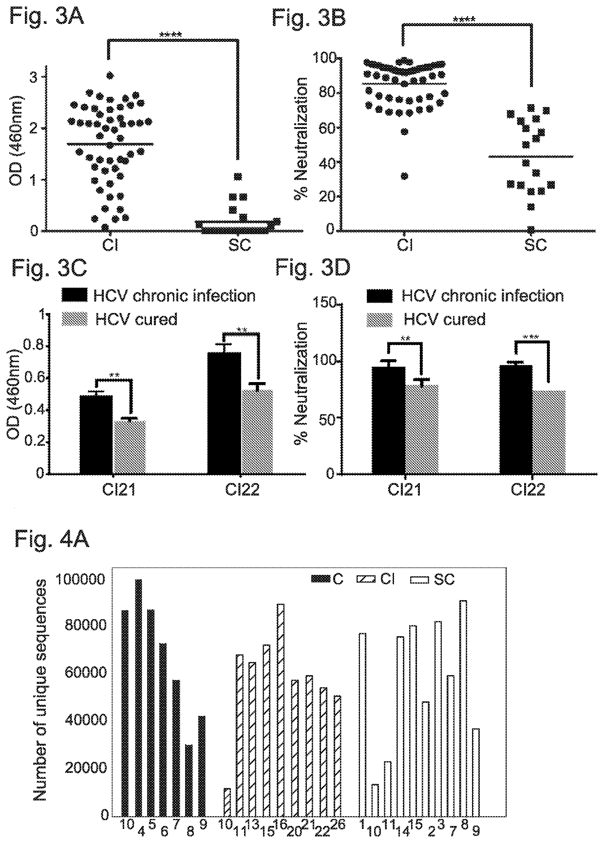 Anti-hepatitis c virus antibodies