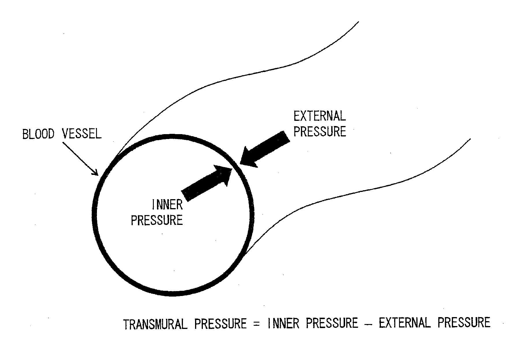 Arterial-wall stiffness evaluation system