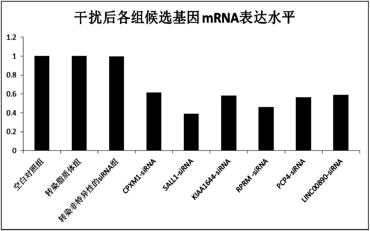 Molecular marker for diagnosing pelvic prolapse