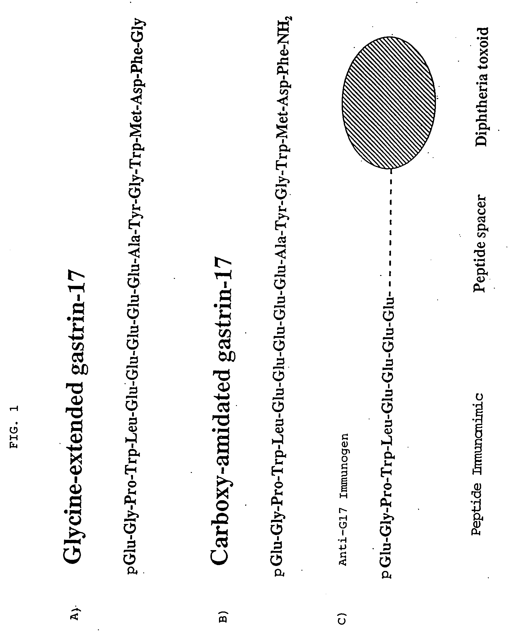 Immunological methods for the treatment of gastrointestinal cancer