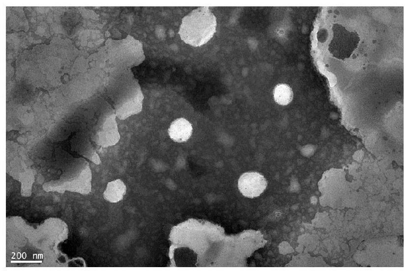 Preparation method of multiple nanoemulsion vaccine adjuvant