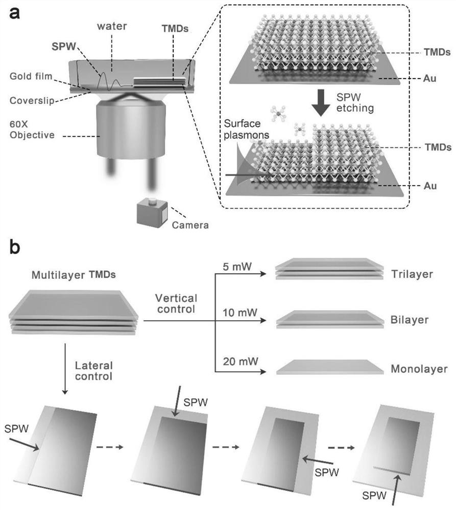 A method for the controllable preparation and patterning of two-dimensional transition metal dichalcogenide layers based on surface plasmon waves