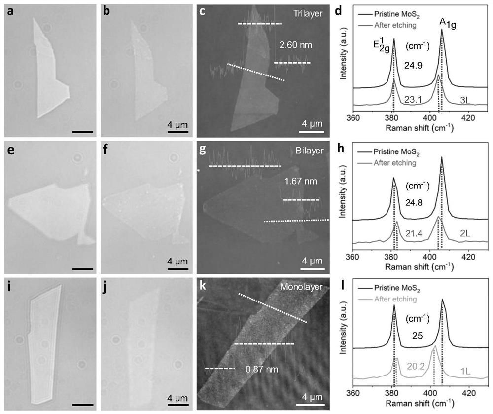A method for the controllable preparation and patterning of two-dimensional transition metal dichalcogenide layers based on surface plasmon waves
