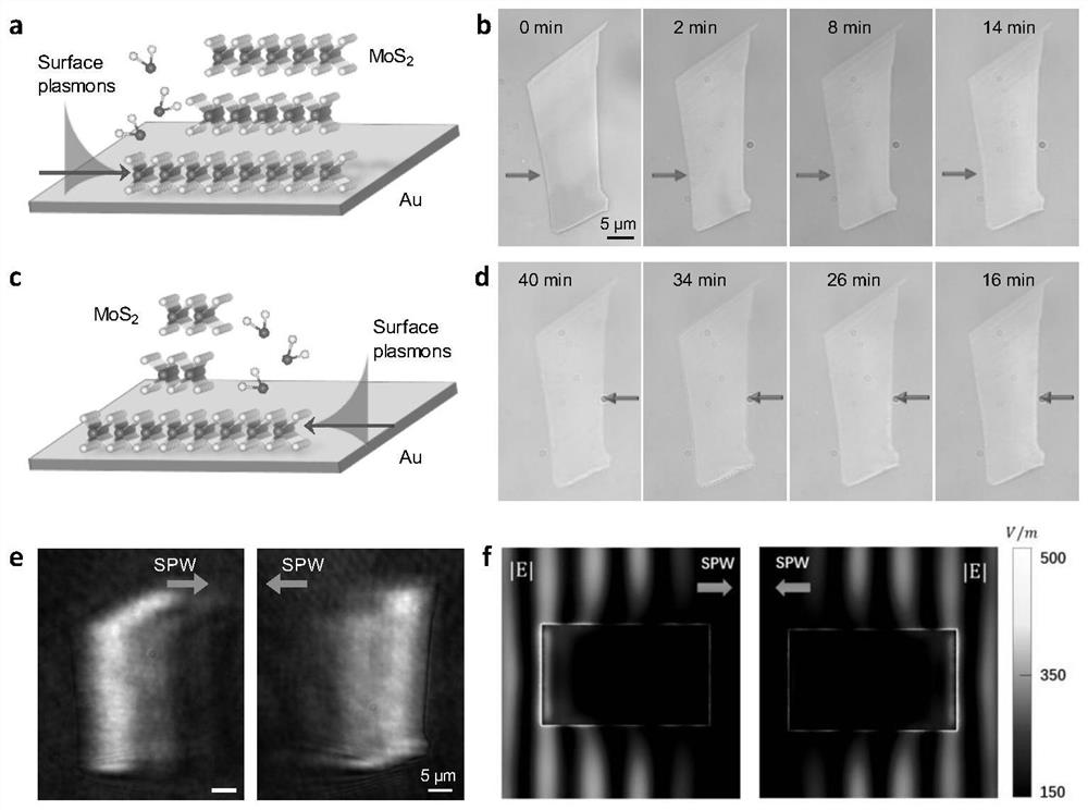 A method for the controllable preparation and patterning of two-dimensional transition metal dichalcogenide layers based on surface plasmon waves