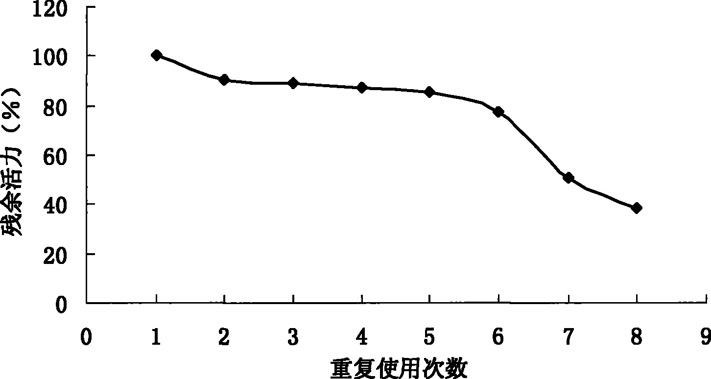 Lactose enzyme and common immobilization method of glucose isomerase