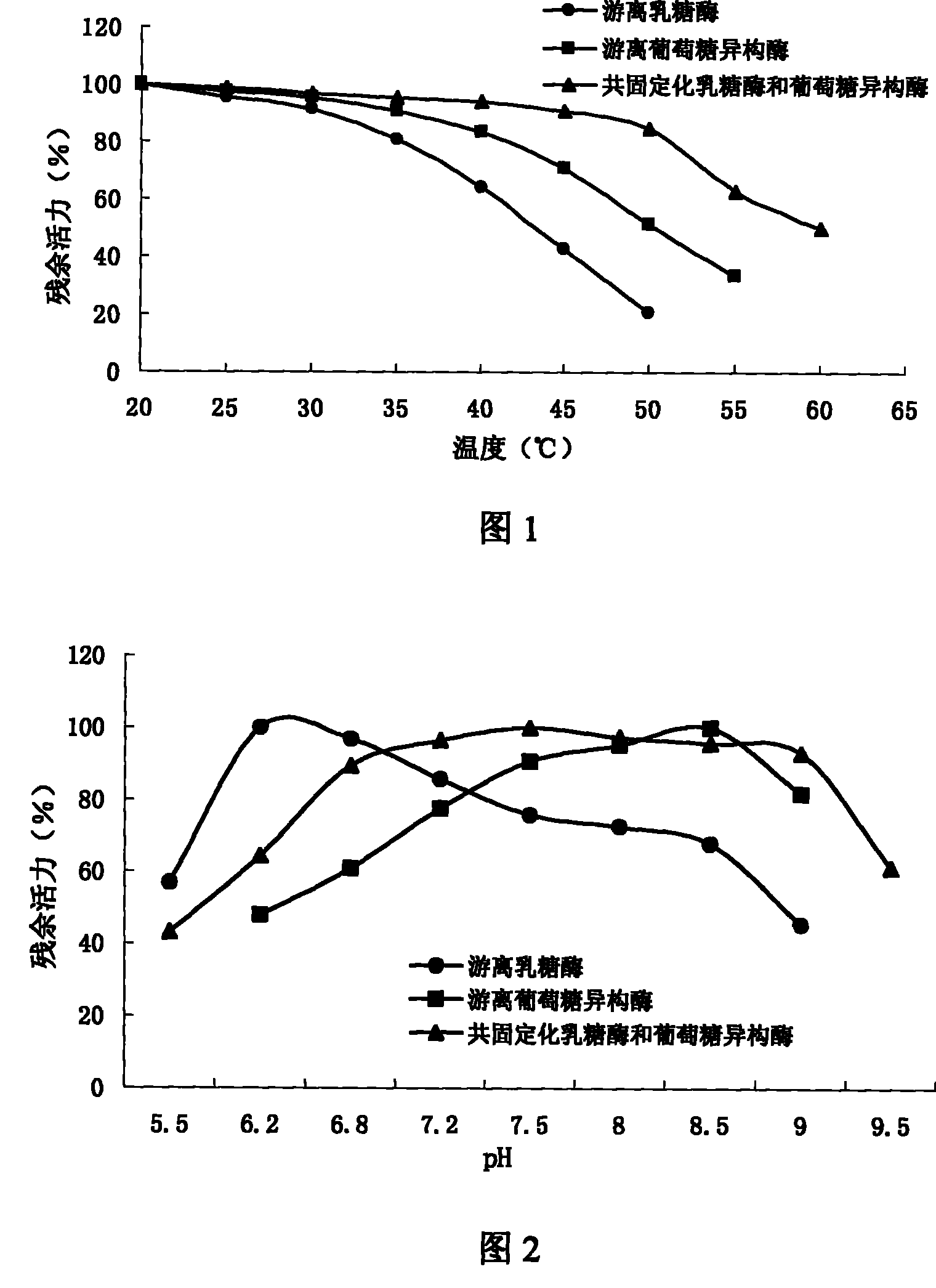 Lactose enzyme and common immobilization method of glucose isomerase