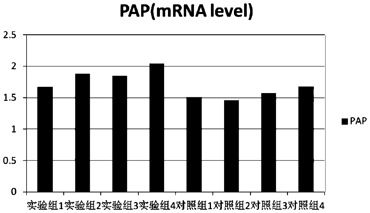 Human prostate epithelial cell separating and culturing method