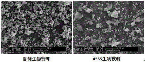 A kind of biological glass granular material and its preparation process