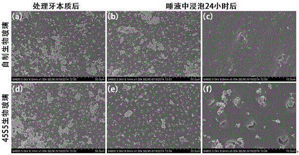 A kind of biological glass granular material and its preparation process