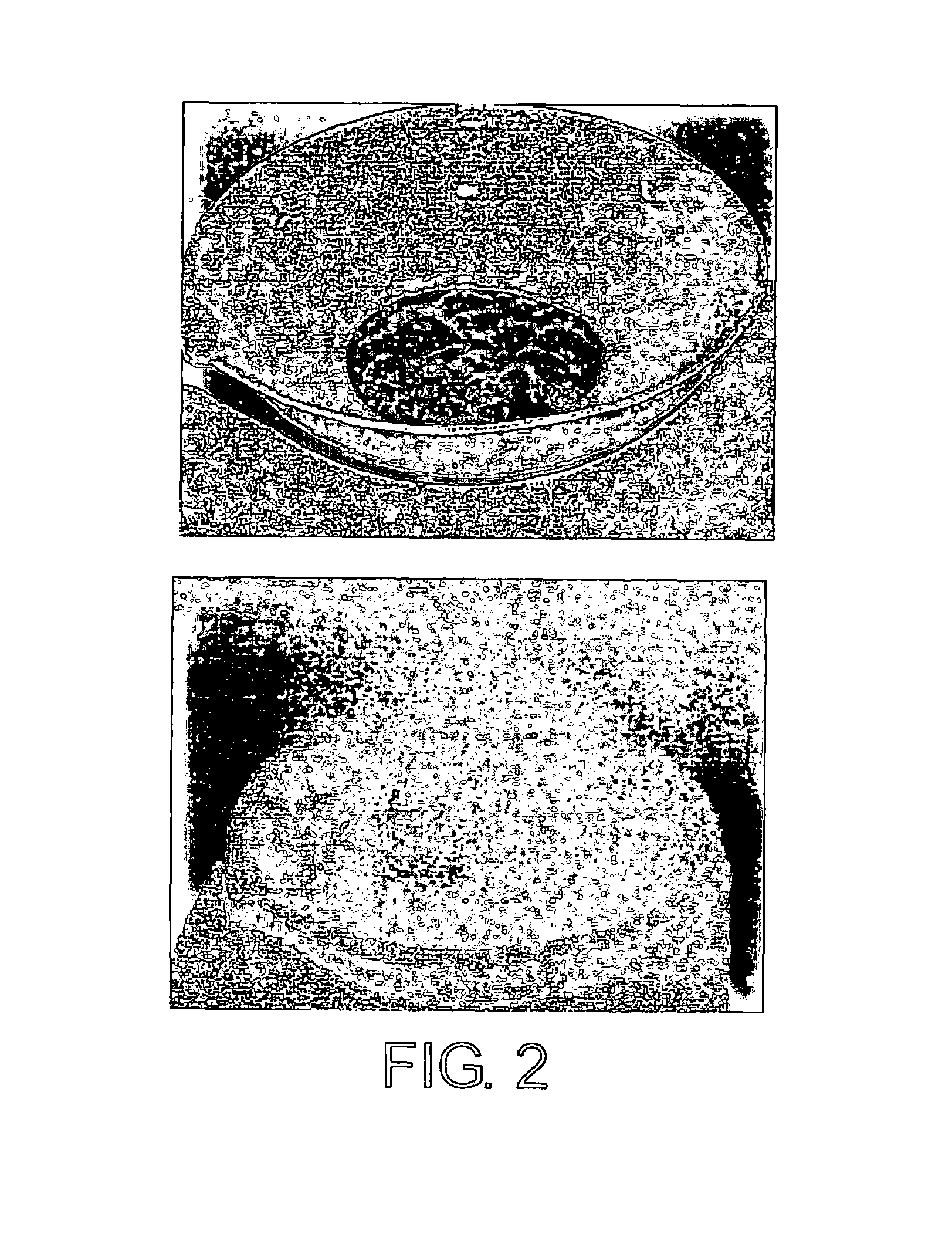 Method of synthesizing small-diameter carbon nanotubes with electron field emission properties