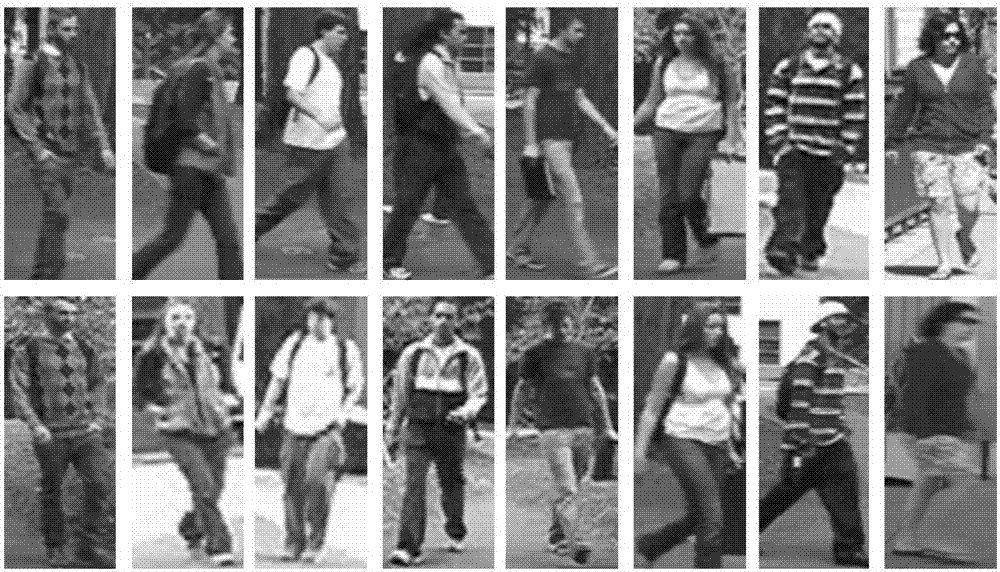 Pedestrian re-recognition method based on general similarity measurement learning
