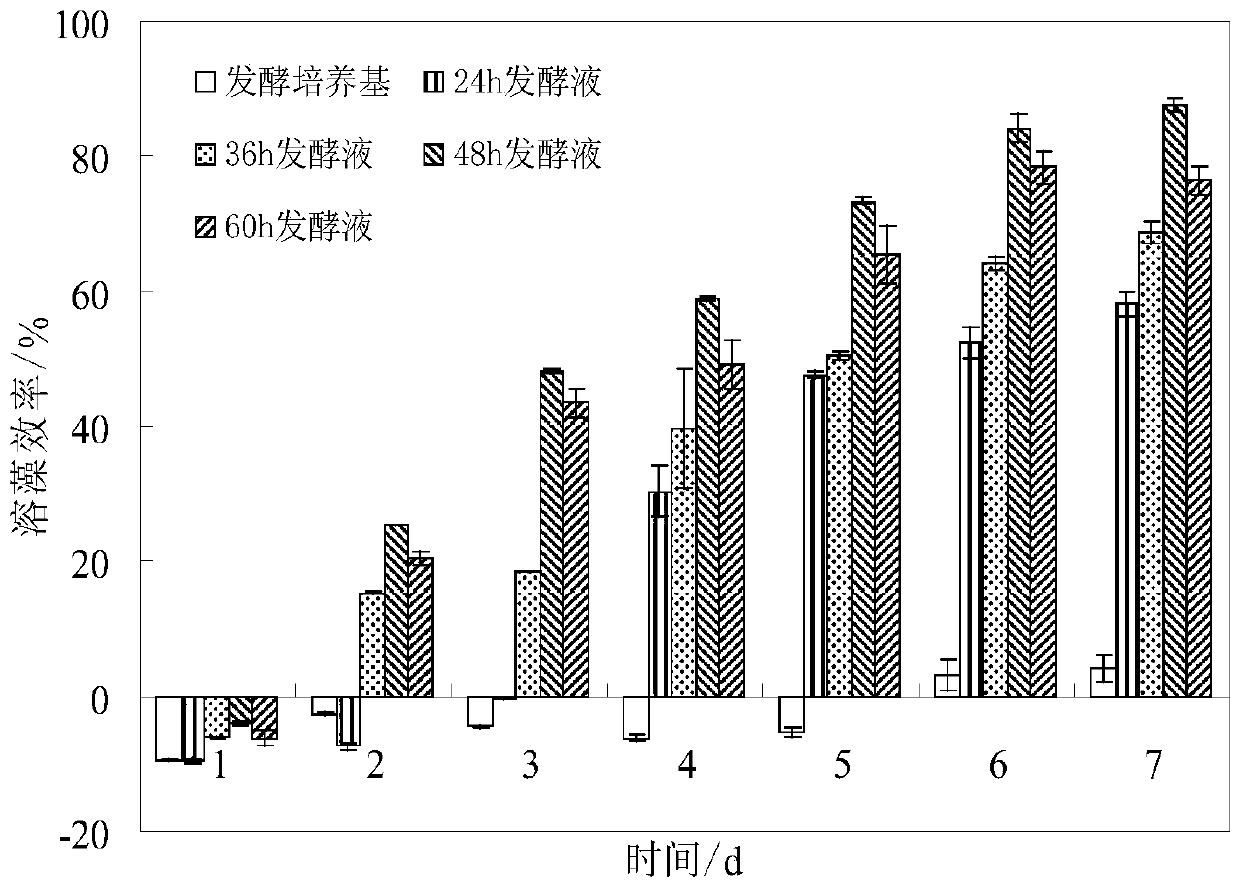 Method for synchronously dissolving algae/degrading algal toxins by using microbial combined preparation