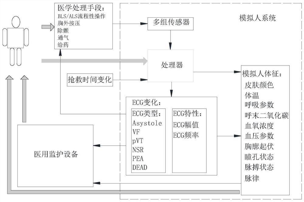 An interactive simulation method for cardiopulmonary resuscitation training simulation