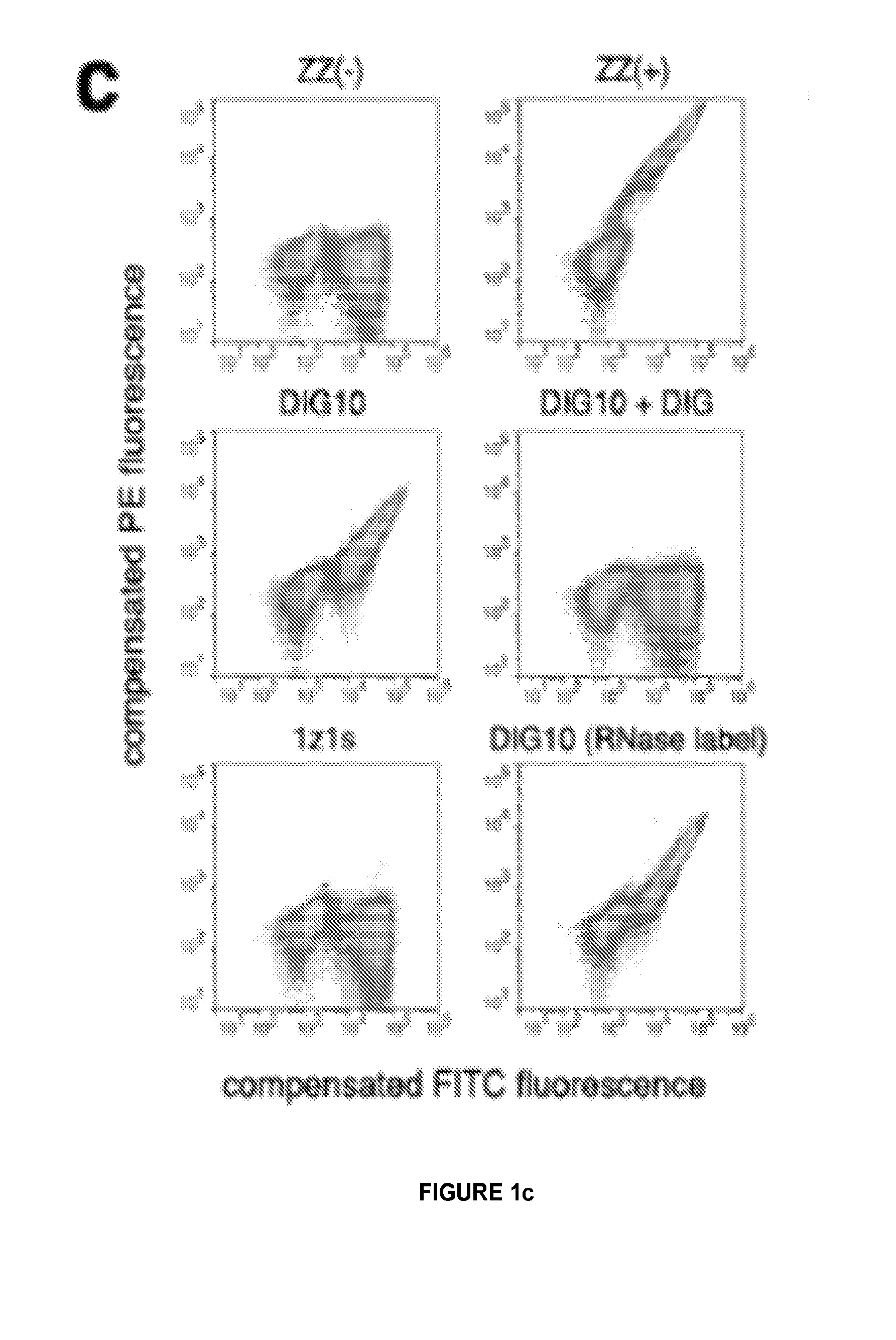 High affinity digoxigenin binding proteins