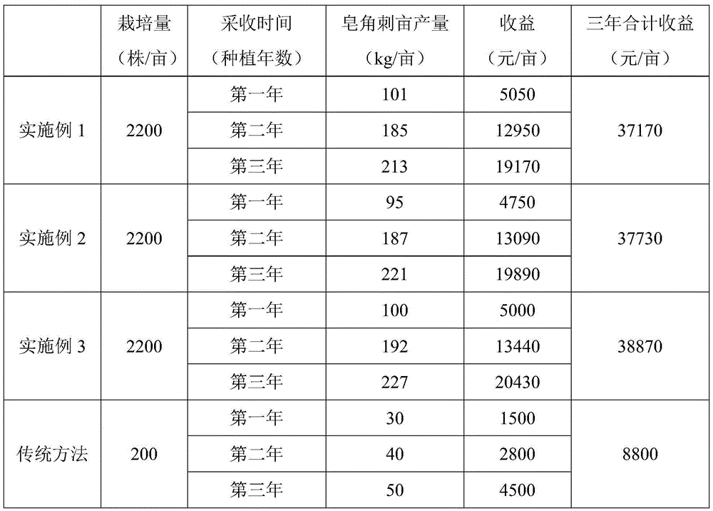 A kind of cultivation method of grassland type medicinal honey locust tree