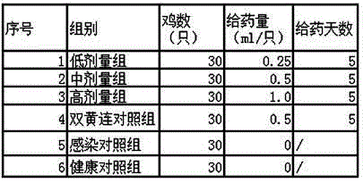 Traditional Chinese medicine composition for preventing and treating infectious diseases of respiratory tracts of livestock and preparation method thereof