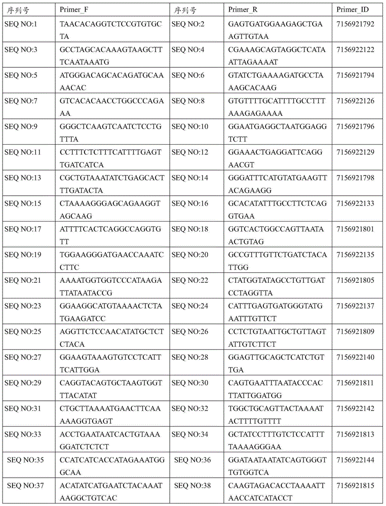 PALB 2 gene susceptibility SNP locus detection composition