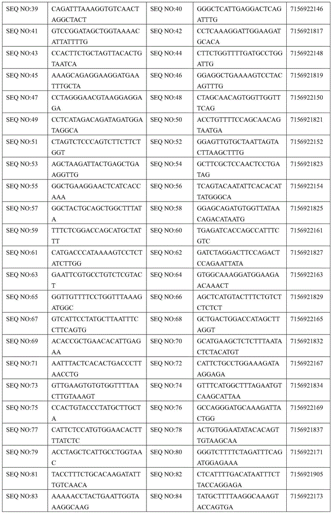 PALB 2 gene susceptibility SNP locus detection composition