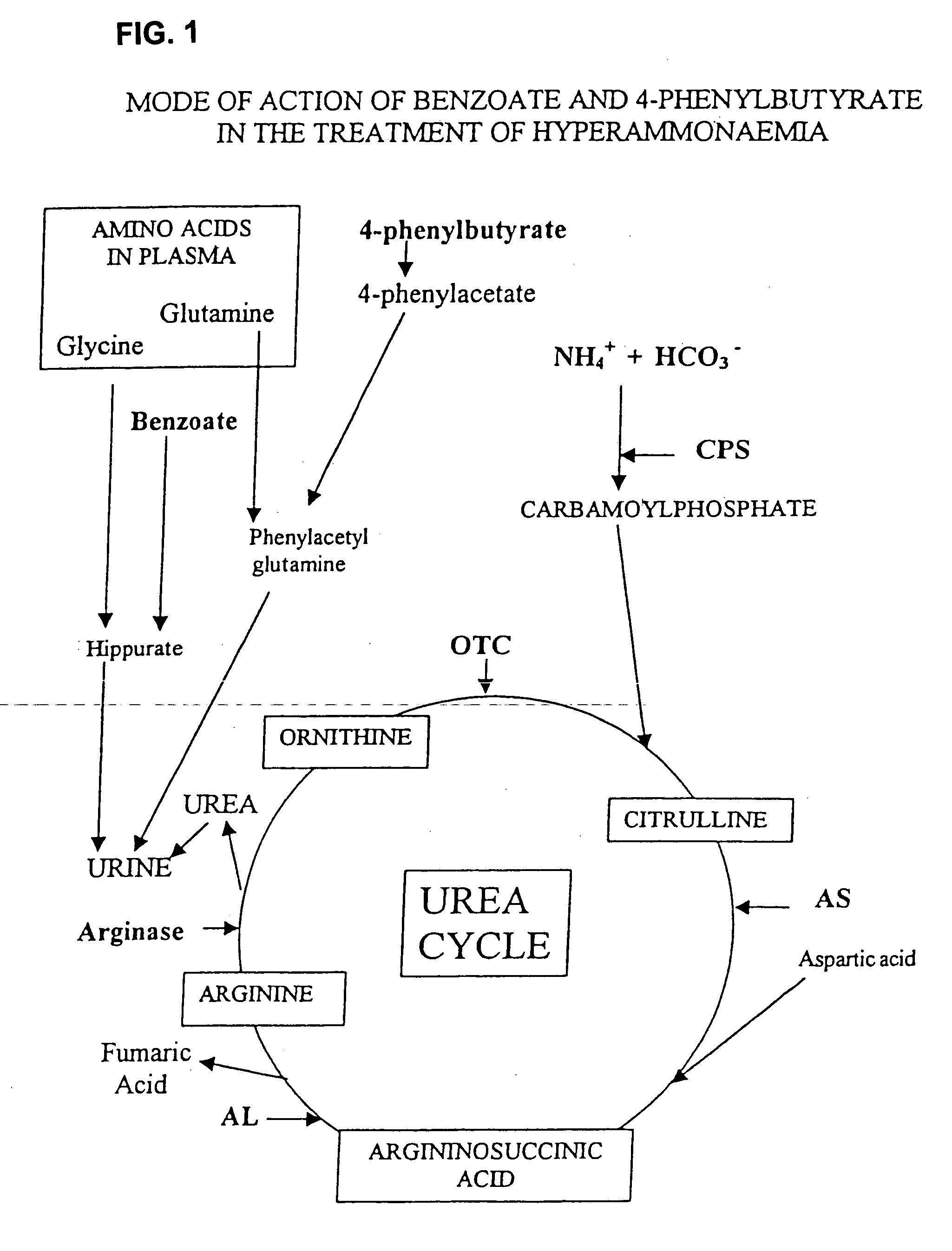 Pharmaceutical composition and method for treatment of a urea cycle deficiency or sickle-cell anaemia