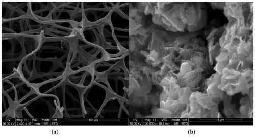 A nano-sponge carbon composite cu  <sub>2</sub> o and cu flexible electrode material and preparation method thereof