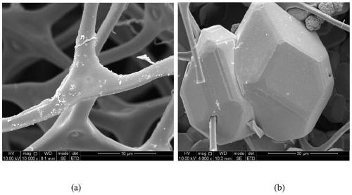 A nano-sponge carbon composite cu  <sub>2</sub> o and cu flexible electrode material and preparation method thereof