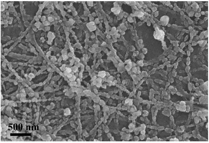 Preparation method of antioxidant copper nanowires