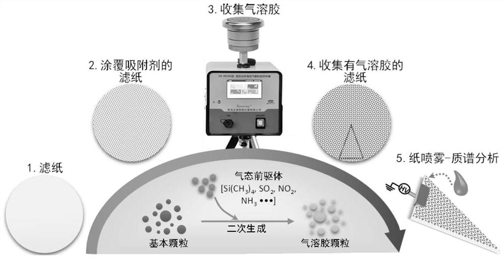 Efficient collection and rapid mass spectrometry method for organic compounds in atmosphere