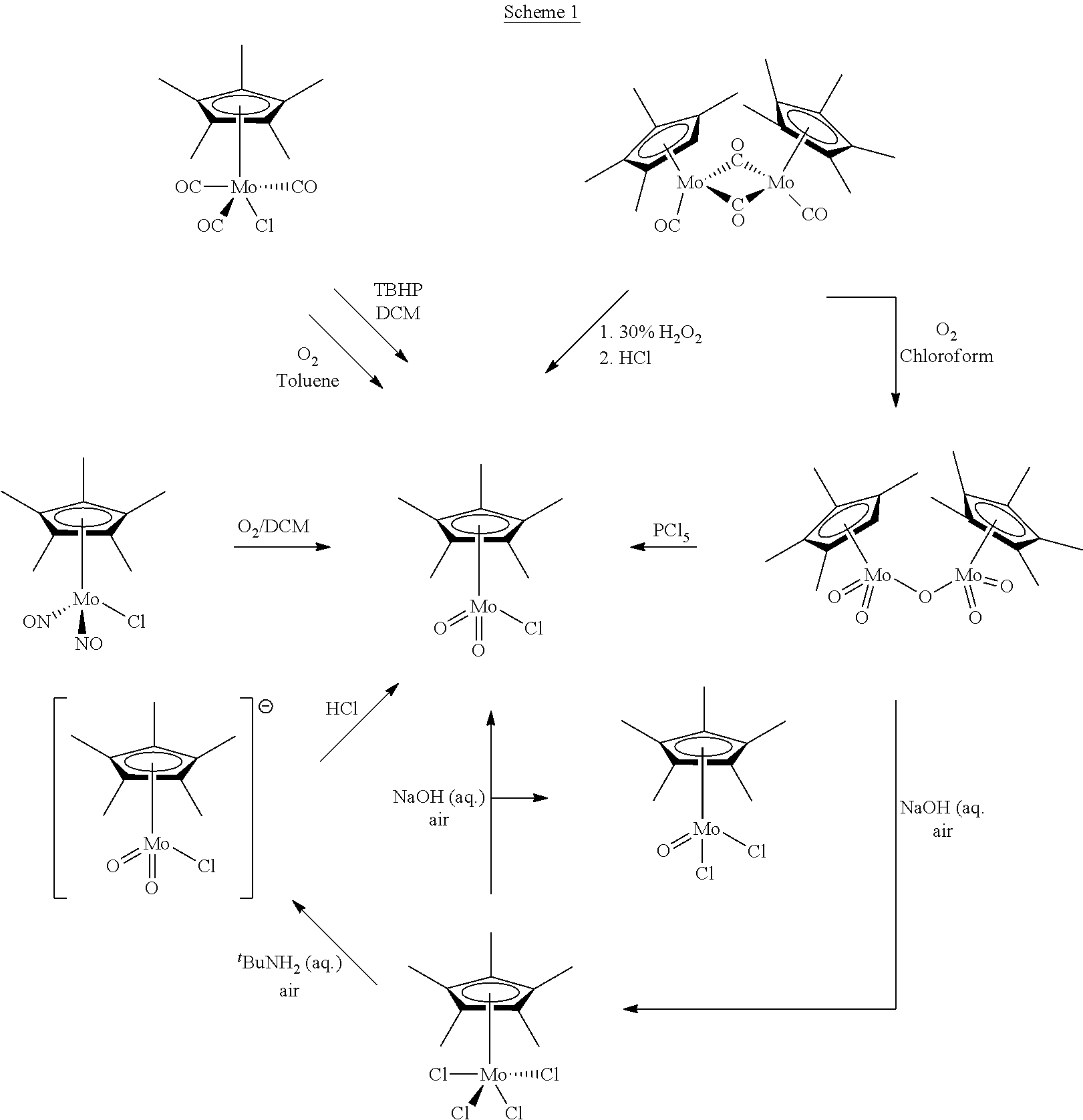 Organometallic Molybdenum Acetylide Dioxo Complex And Process For The Preparation Thereof