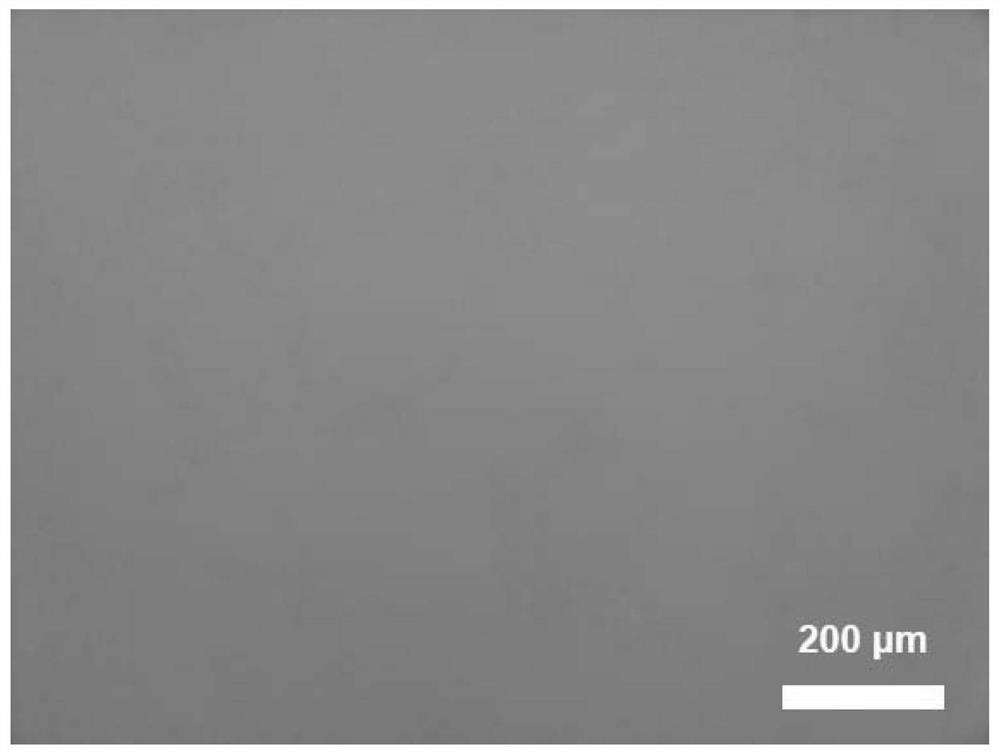 A kind of copper film catalyst for cvd growth graphene and its application