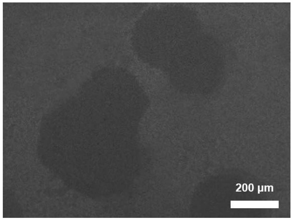 A kind of copper film catalyst for cvd growth graphene and its application