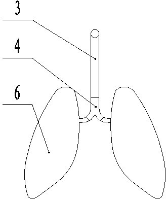 Human breathing demonstration instrument