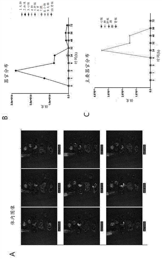 Composition for preventing or treating neurological or psychiatric disorders comprising extracellular vesicles derived from lactobacillus paracasei