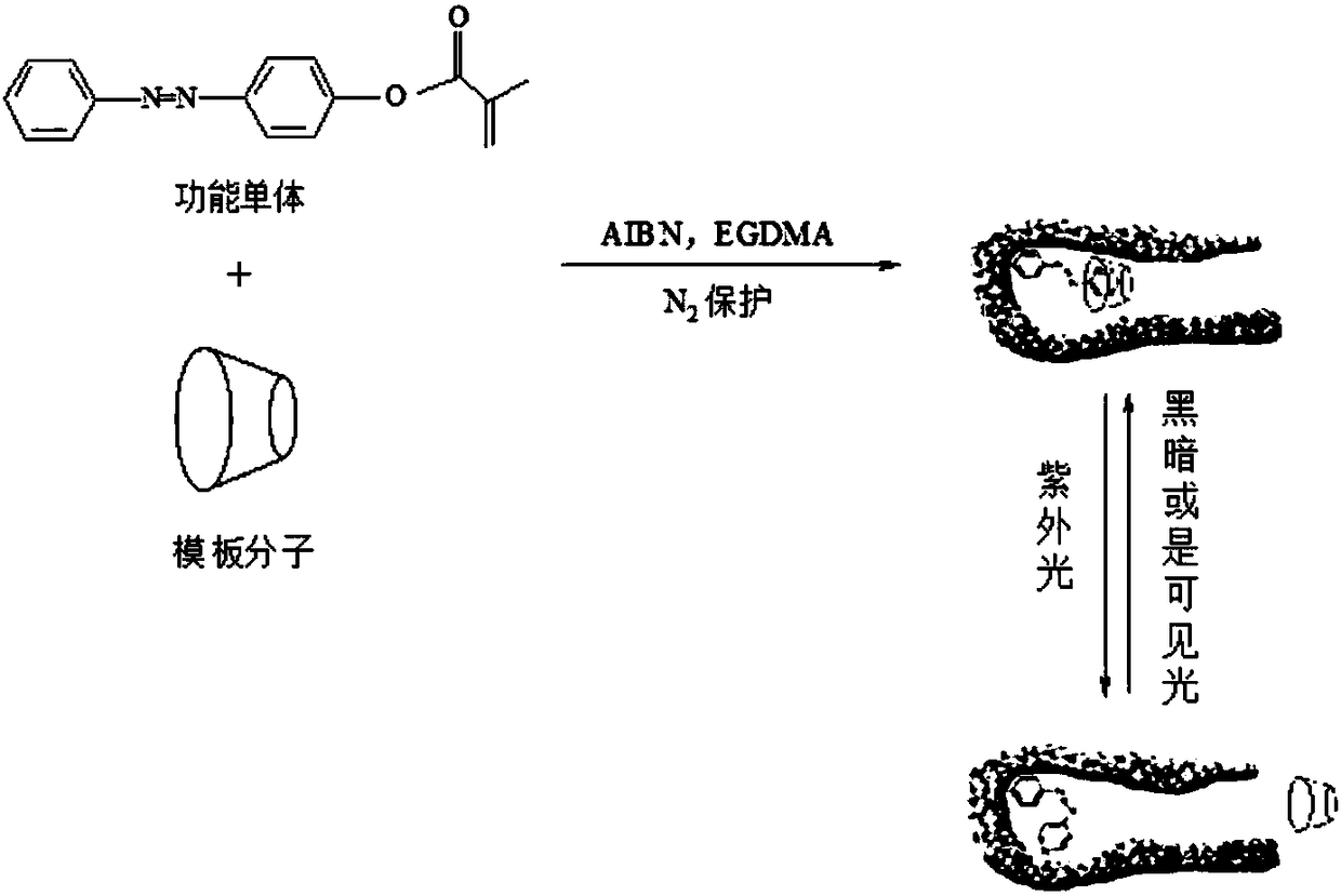 Preparation method of photoresponsive molecularly imprinted material for selective separation and purification of cyclodextrin and its derivatives