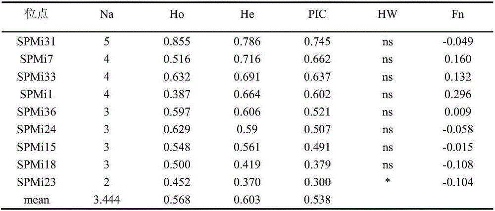 Spinibarbus dneticulatus microsatellite family identification method