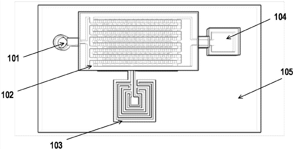 Peripheral blood circulation tumor cell detection chip and system thereof